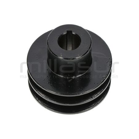 POLEA DOBLE SALIDA MOTOR BIO150S (45) - motoscamaralweb.com