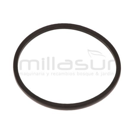 CORREA BIO150T (29) B-813 - motoscamaralweb.com
