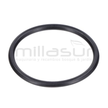 JUNTA TORICA CUERPO 45x3.1 BE1300ASC (20) - motoscamaralweb.com