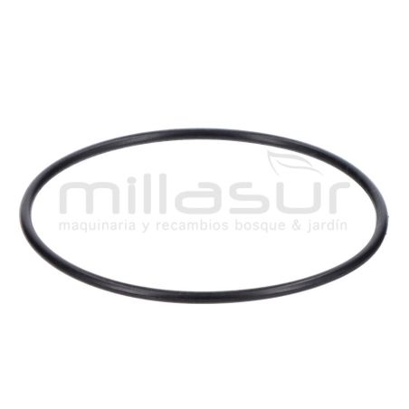 JUNTA TORICA 50x1.8 BE1300ASC (38) - motoscamaralweb.com