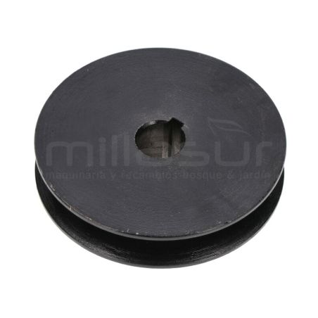 POLEA BOMBA HIDRAULICA BIO300 (71) - motoscamaralweb.com