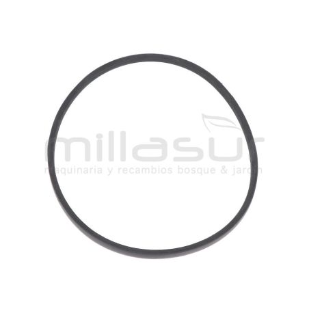 CORREA BIO70S (2) - motoscamaralweb.com