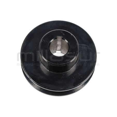 POLEA SALIDA MOTOR BIO150D (27) - motoscamaralweb.com