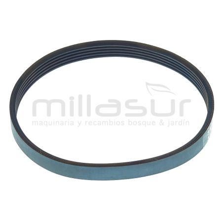 CORREA CA06 (24) - motoscamaralweb.com