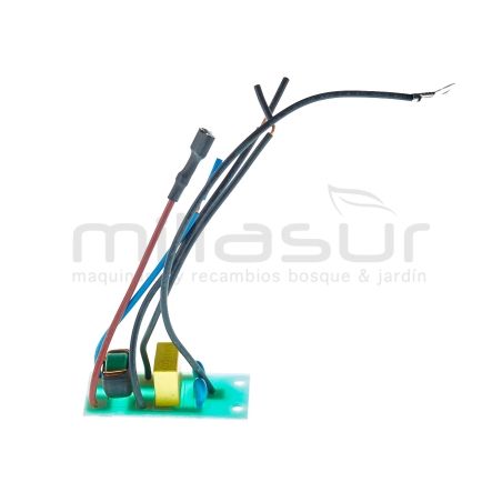 PLACA ELECTRONICA CA06 - motoscamaralweb.com