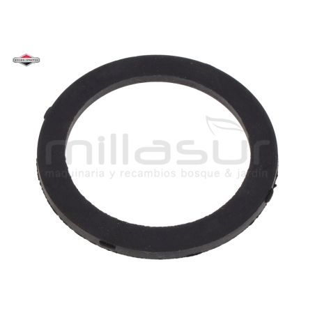 JUNTA - motoscamaralweb.com