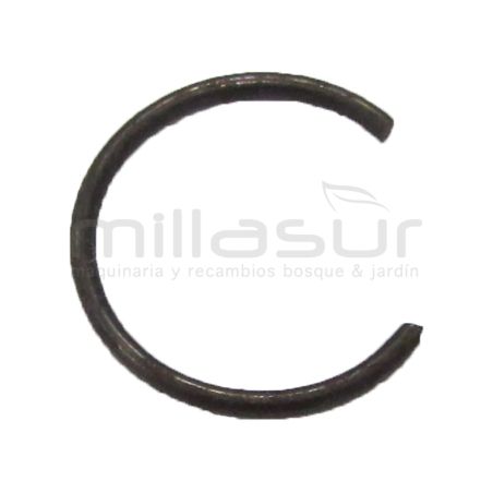 PRESILLA BULON - motoscamaralweb.com