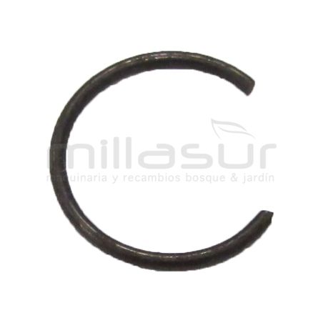 PRESILLA BULON - motoscamaralweb.com