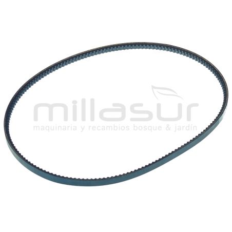 CORREA CC256TV (67) - motoscamaralweb.com