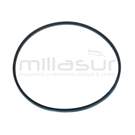 CORREA CC351T3 (10) 800mm CC451BS(10) - motoscamaralweb.com