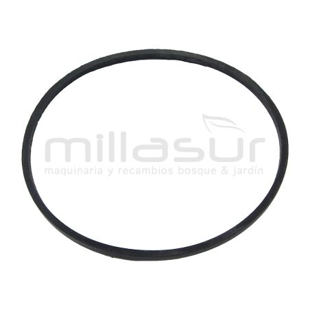 CORREA 711mm (LI) - motoscamaralweb.com