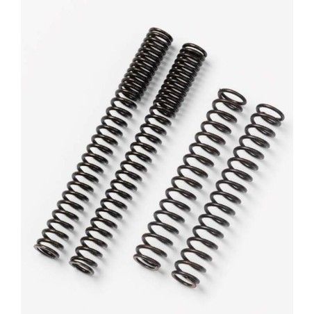 Muelles de horquilla Road Bitubo MY13WO- motoscamaralweb.com