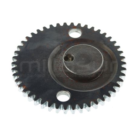 PIÑON EXCÉNTRICO BIELA CG2360 - motoscamaralweb.com