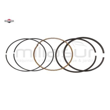 JUEGO DE SEGMENTOS - motoscamaralweb.com