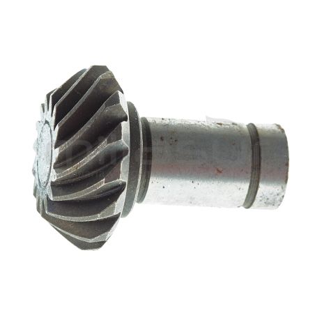 PIÑON ENTRADA - motoscamaralweb.com