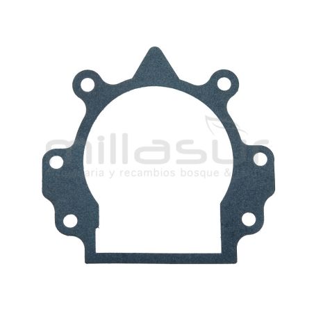 JUNTA CARTER D33B (17) - motoscamaralweb.com