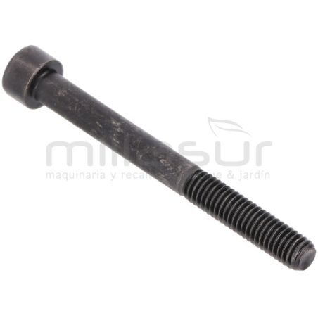 TORNILLO ESCAPE M6X60 D52R (24) - motoscamaralweb.com