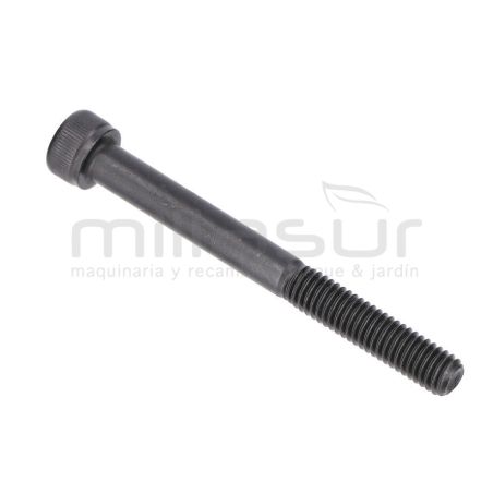 TORNILLO ESCAPE M6X60 D536 - motoscamaralweb.com