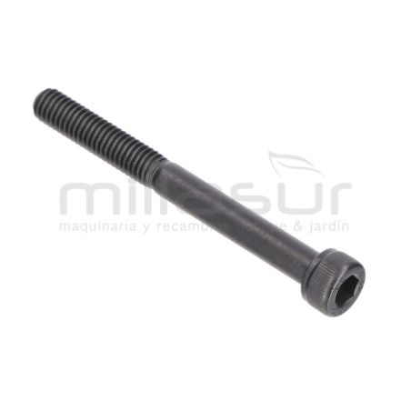 TORNILLO ESCAPE M6X60 D545. D553.D553M(34) - motoscamaralweb.com