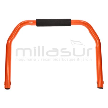 MANGO TRANSPORTE GC5500 (2018) - motoscamaralweb.com