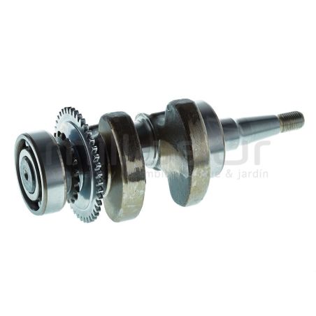 CIGÜEÑAL GI2000 (B35) - motoscamaralweb.com