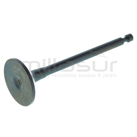 VALVULA ESCAPE GI2000 (B53) - motoscamaralweb.com