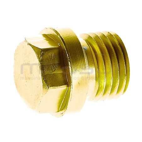 TORNILLO TAPON VALVULA H1800 (38) - motoscamaralweb.com