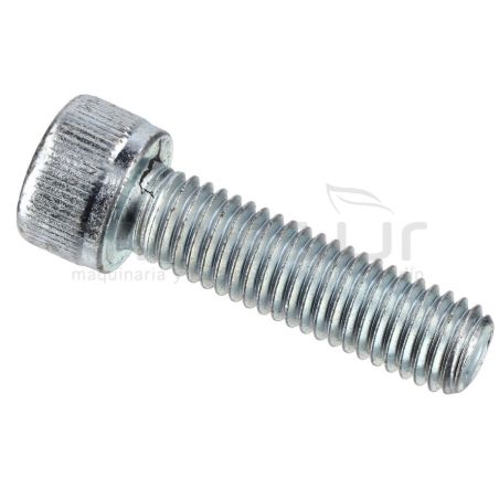 TORNILLO TAPA GUIA PISTONES M8X30 H1950 (40) - motoscamaralweb.com