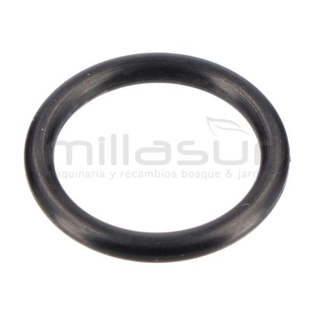 JUNTA TORICA RACOR SALIDA 13.2X2 H1950 (36) - motoscamaralweb.com