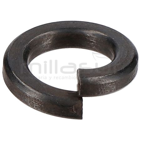 ARANDELA DE PRESION Ø6 H1950 (7) - motoscamaralweb.com