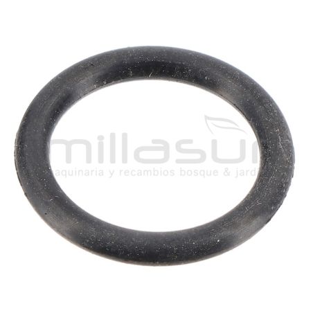 JUNTA TORICA ENTRADA BYPASS HG3000 (B34) - motoscamaralweb.com