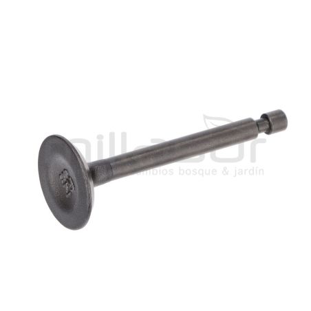 VALVULA ADMISION MA100 (10) - motoscamaralweb.com