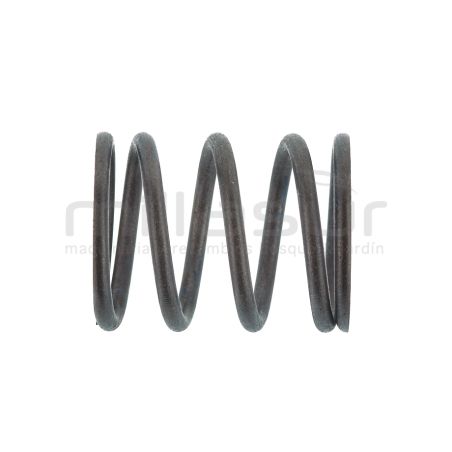 MUELLE VALVULA MA100 (13) - motoscamaralweb.com