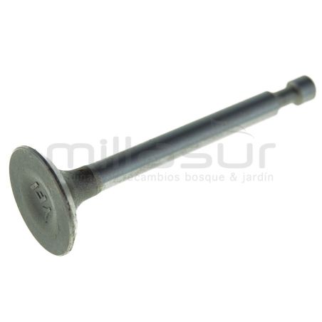 VALVULA ADMISION MA135 - CC246 - CC246T (84) - motoscamaralweb.com