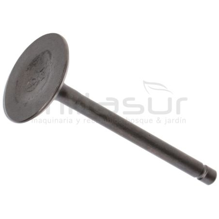 VALVULA ADMISION MA460 (I5) - motoscamaralweb.com