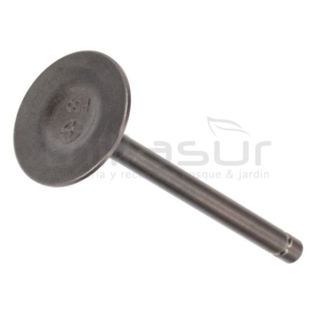 VALVULA ESCAPE MA460 (I4) - motoscamaralweb.com