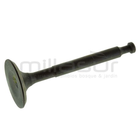 VALVULA ADMISIÓN - motoscamaralweb.com