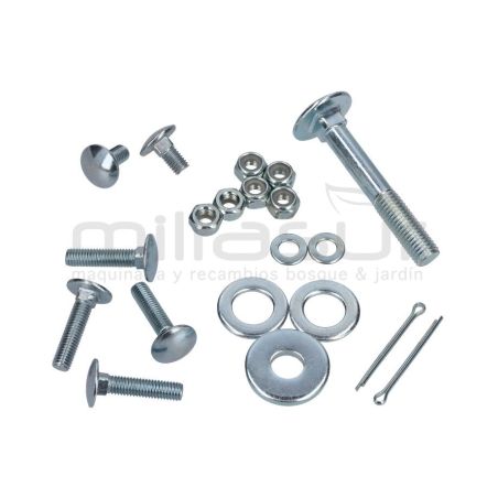 JUEGO TORNILLOS - motoscamaralweb.com