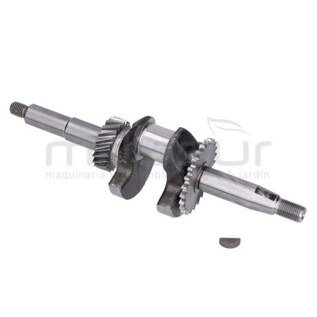 CIGÜEÑAL MA82 (32) - motoscamaralweb.com