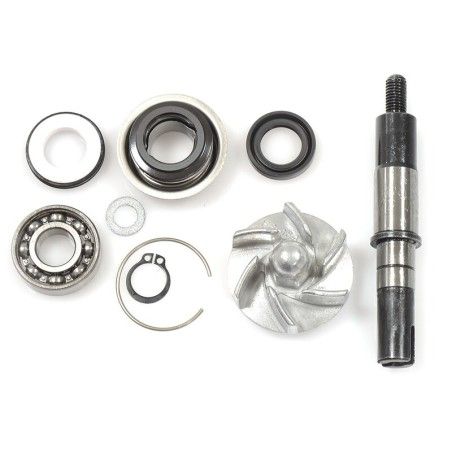 Kit de reparación bomba de agua Daelim S3 125 V PARTS - motoscamaralweb.com