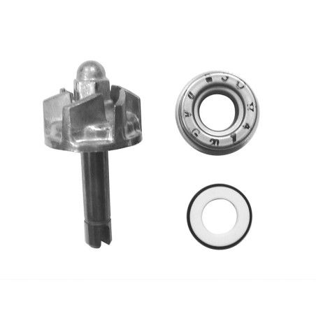Set repara eje bomba de agua V PARTS - motoscamaralweb.com