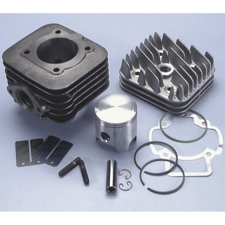 Kit Polini PIAGGIO SFERA-ZIP-FREE 50 D.47 (1400181) - motoscamaralweb.com