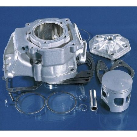KIT POLINI MOTOR ROTAX 122/123 Ø60 APRILIA125 146.0800 - motoscamaralweb.com