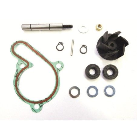 Kit reparación bomba de agua TOP PERFORMANCES motor Derbi Euro3 - motoscamaralweb.com