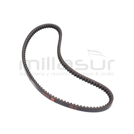 CORREA 13×895LW MC200 (6) - motoscamaralweb.com