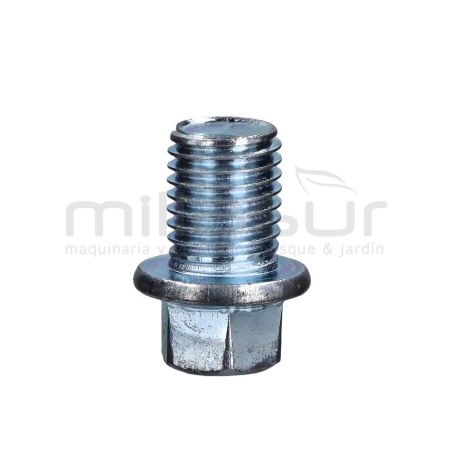 TORNILLO VACIADO - motoscamaralweb.com