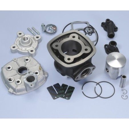 Kit Polini PIAGGIO QUARTZ-NRG D.47 H20 (1400183) - motoscamaralweb.com