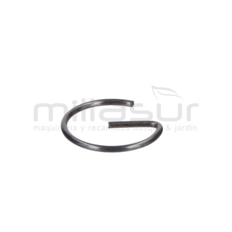 PRESILLA BULON CC340PT (33) - motoscamaralweb.com