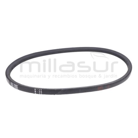 CORREA (60) - motoscamaralweb.com