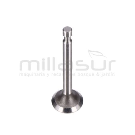 VALVULA ADMISION CC340PT (68) - motoscamaralweb.com